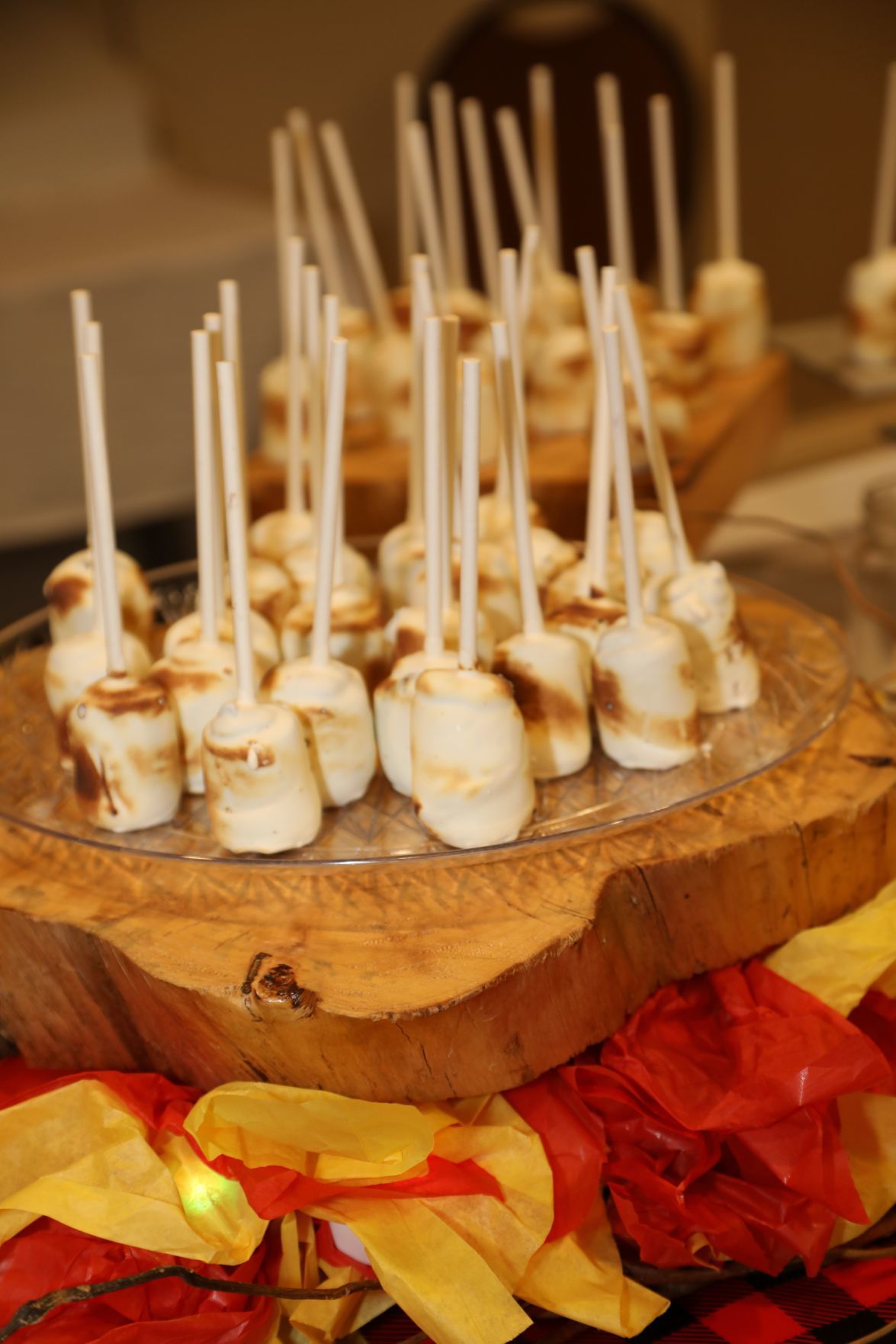 2019-Girl-Scouts-Dessert-First-024.JPG